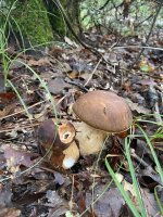 IMG_2742.jpeg