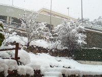 IMG_20231130_124650_203.jpg
