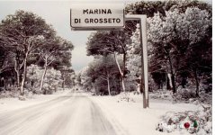 IMG_8967.jpeg