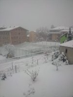 IMG-20231130-WA0012.jpg