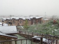 IMG_20250417_092722_138.jpg