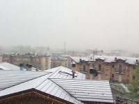 IMG_20250417_092452_727.jpg