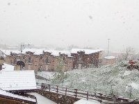 IMG_20250417_102228_378.jpg