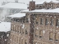 IMG-20250417-WA0017.jpg