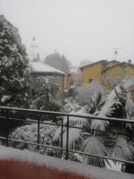 IMG-20251121-WA0000.jpg