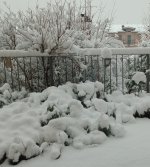 IMG_20251124_081704085.jpg