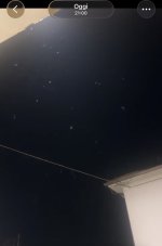 IMG_6729.jpeg