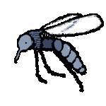 aaa.gif