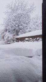 IMG-20260315-WA0002.jpg